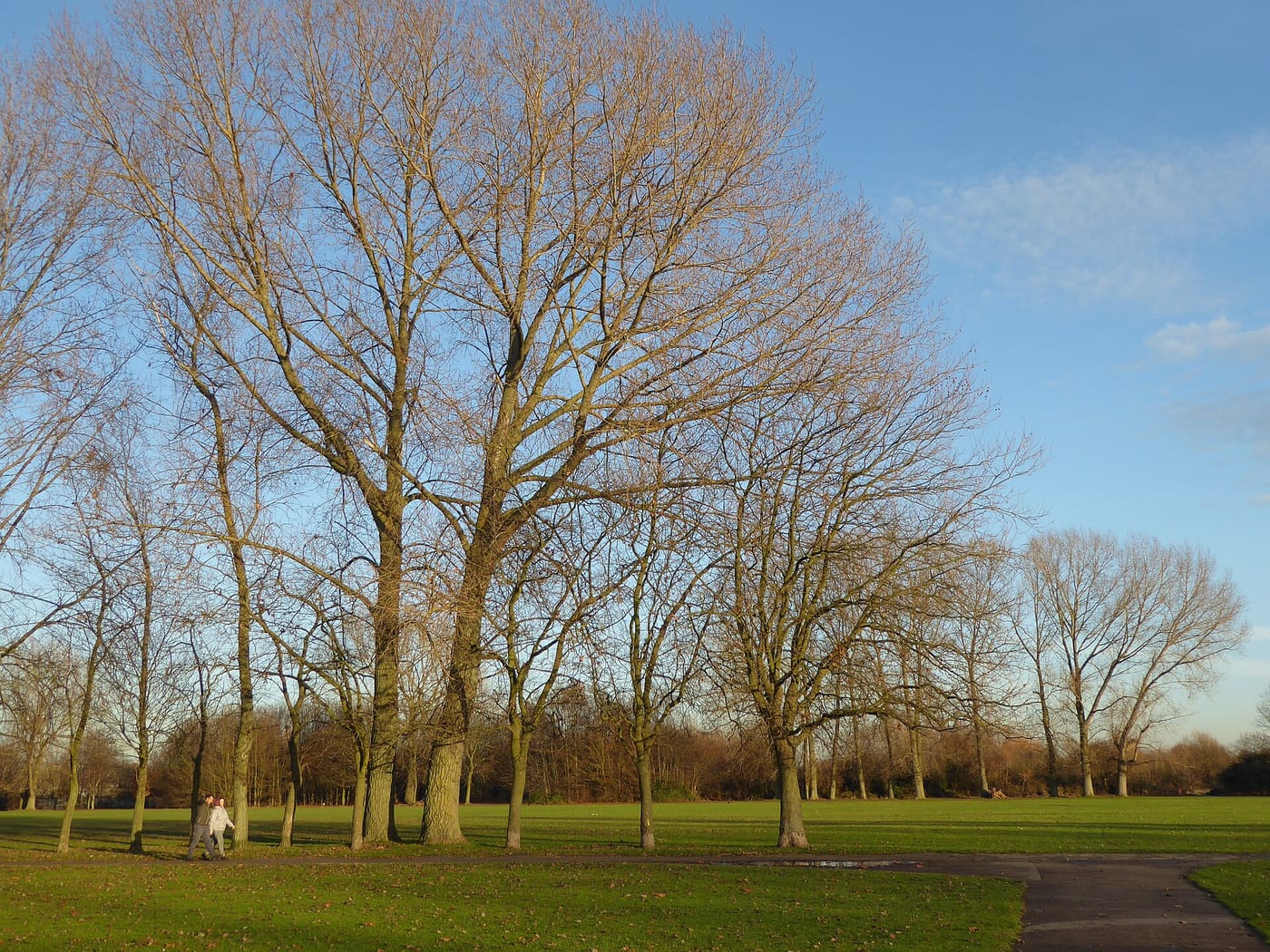 Central Park Dagenham — Central Park