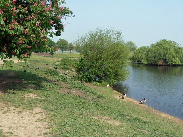 Mayesbrook Park — In Mayesbrook Park