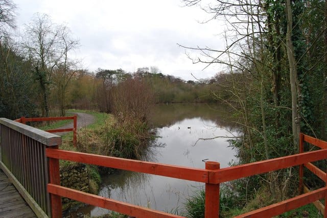 Darlands Nature Reserve — Darlands Nature Reserve