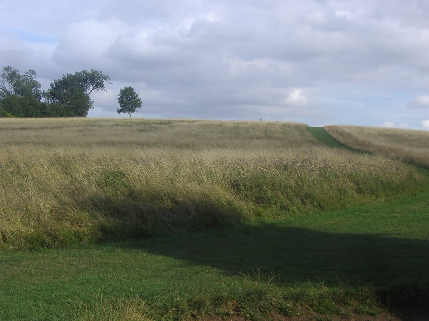 Fryent Country Park — Fryent Country Park, Kingsbury
