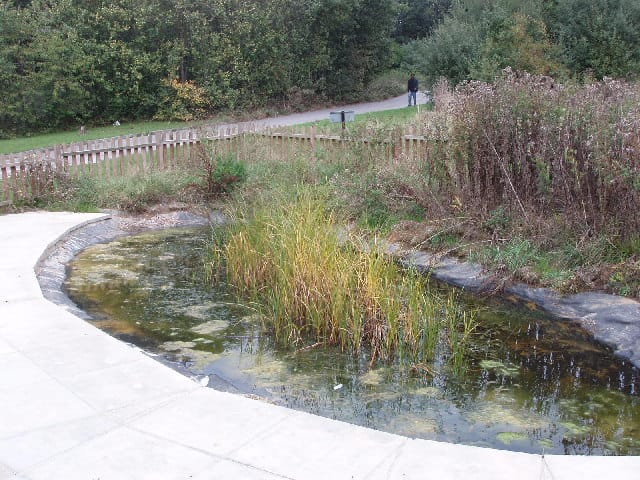 Welsh Harp Environmental Education Centre — Pond at Welsh Harp Environmental Education Centre