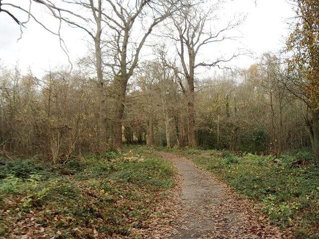 Scadbury Park Nature Reserve — Scadbury Park Nature Reserve, Chislehurst