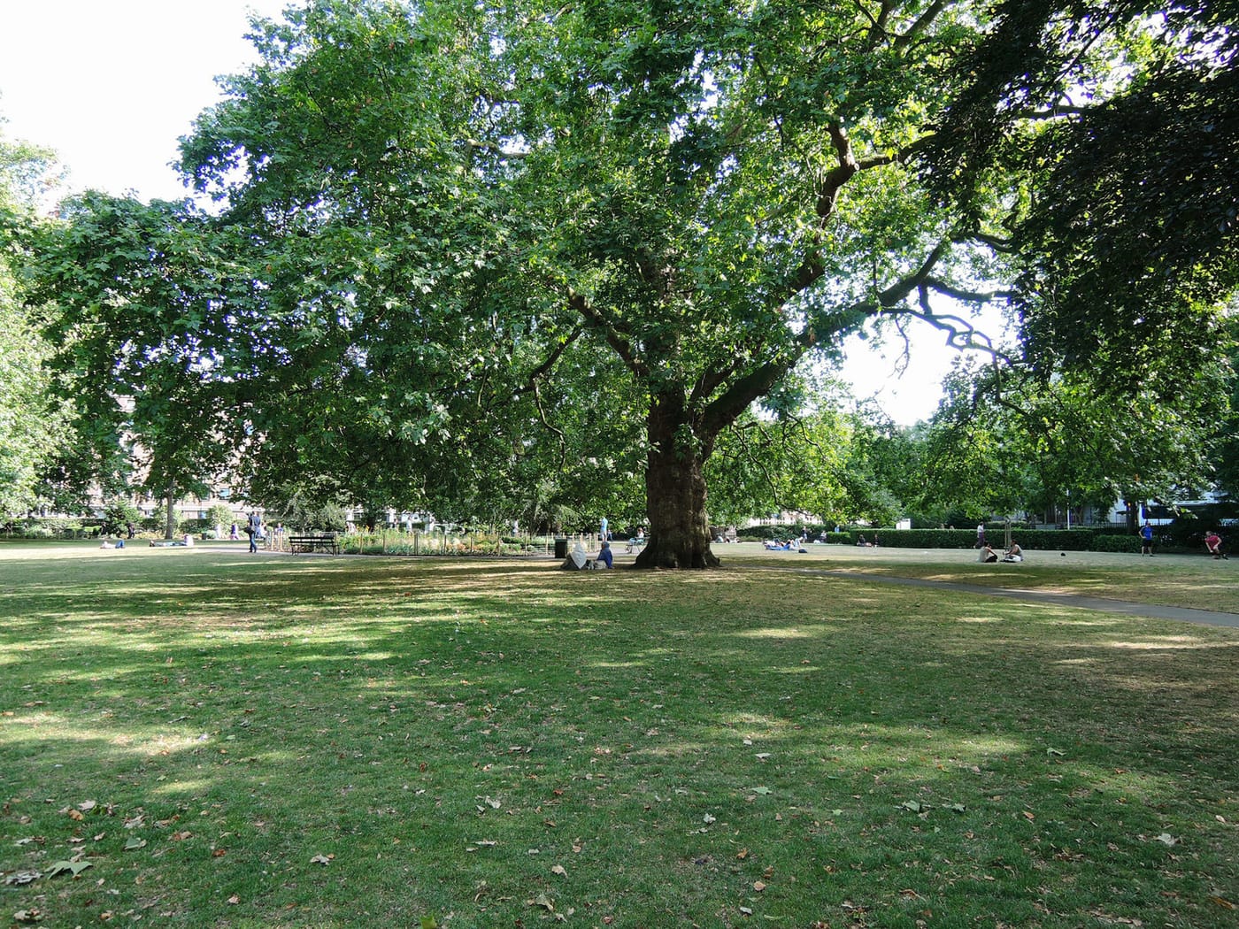Brunswick Square Gardens — Brunswick Square gardens