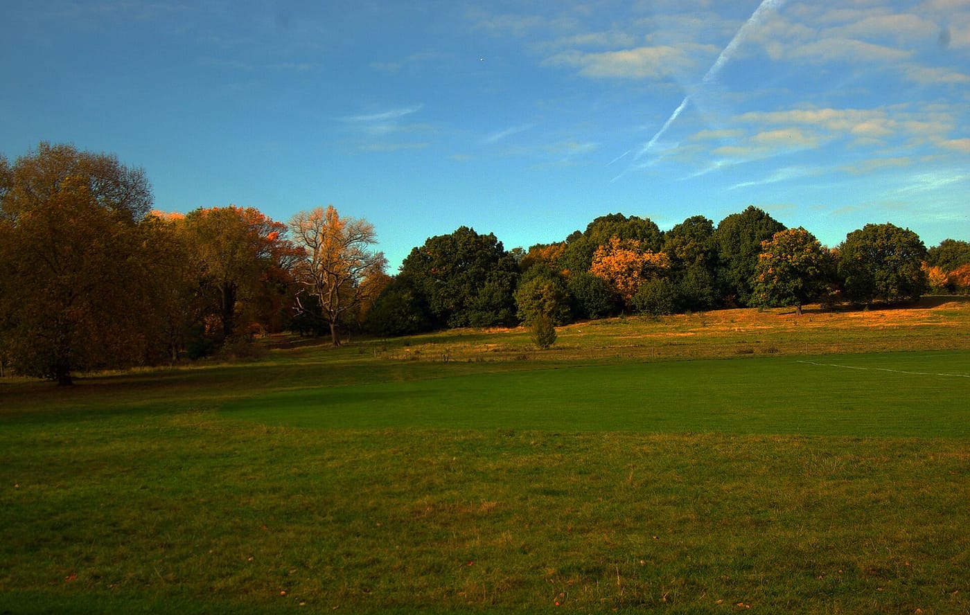 Hampstead Heath & Parliament Hill Fields — Parliament Hill, Hampstead Heath