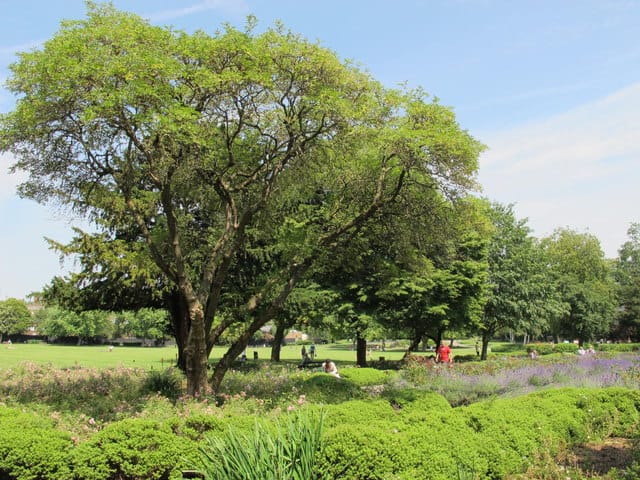 Kilburn Grange Park — Kilburn Grange Park
