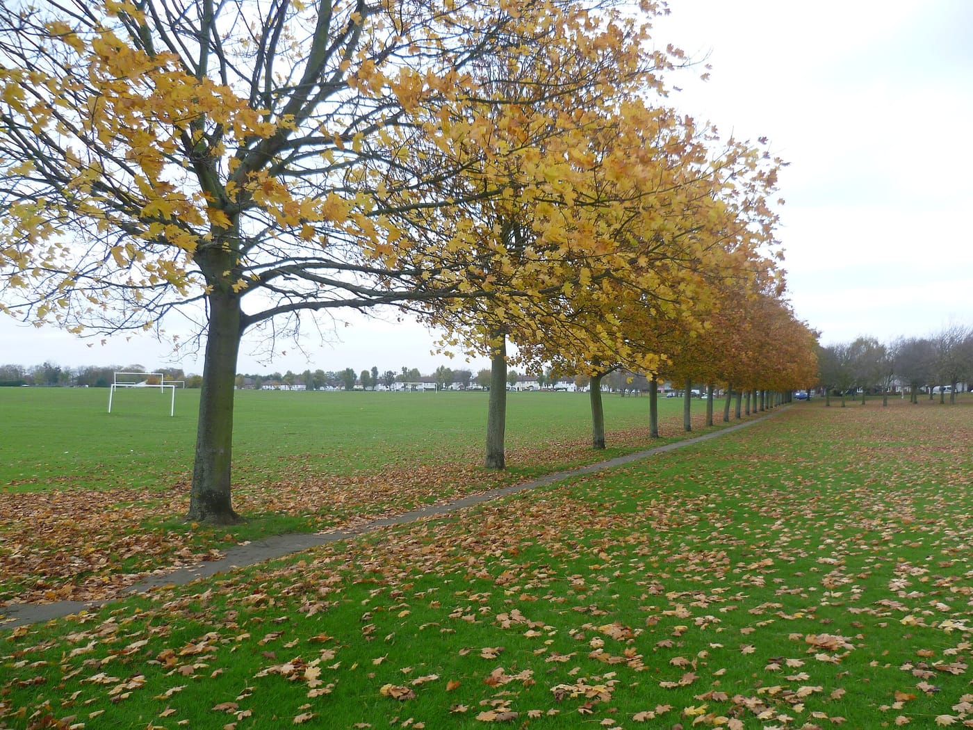 Purley Way Playing Fields — Purley Way Playing Fields