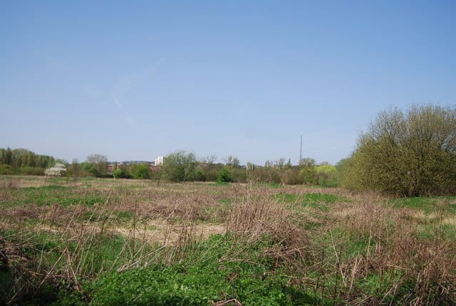 South Norwood Country Park — South Norwood Country Park