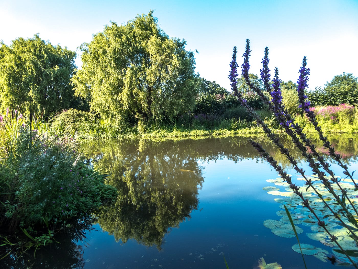 Capel Manor Gardens — Lake at Capel Manor College and Gardens, Enfield, England
