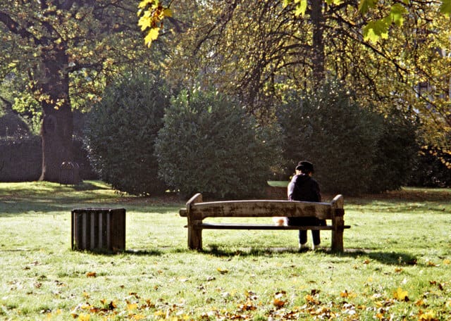 Enfield Town Park — Enfield Town Park, Enfield