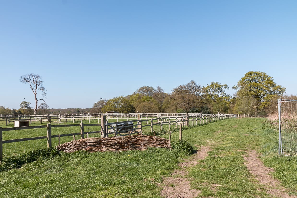 Forty Hall Farm — Forty Hall Farm, Enfield