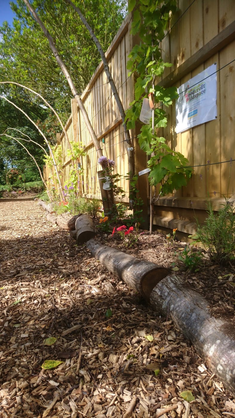 Woodcroft Wildspace — Woodcroft Wildspace