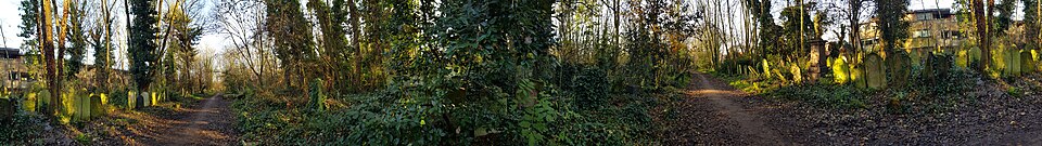 Abney Park Nature Reserve — photo 4