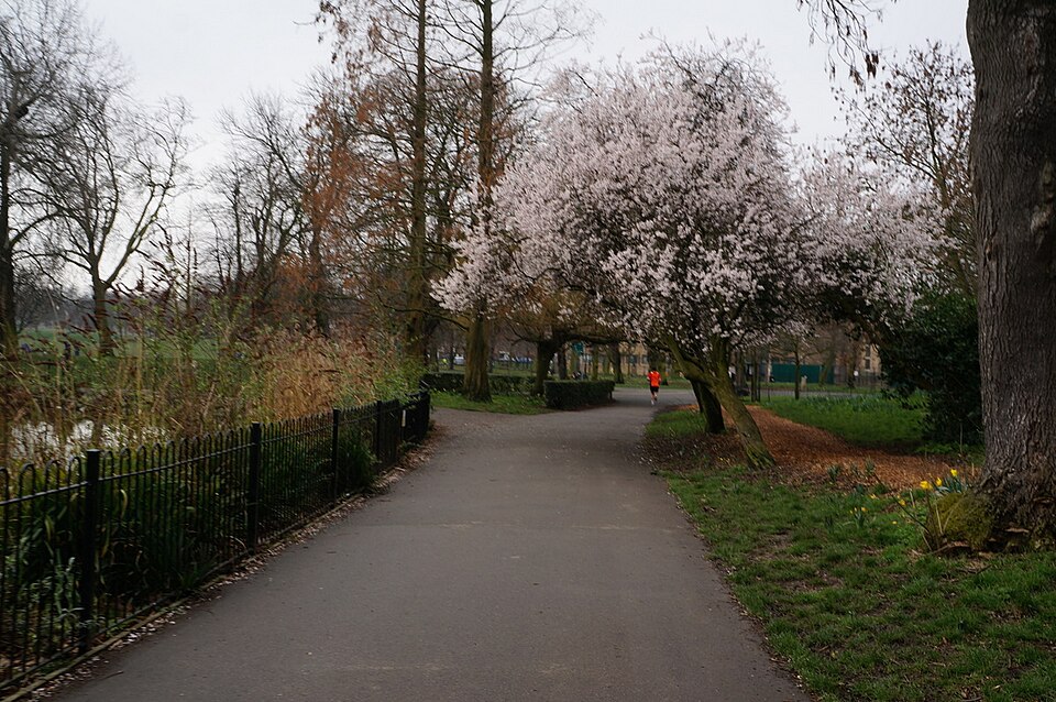 Clissold Park — photo 4