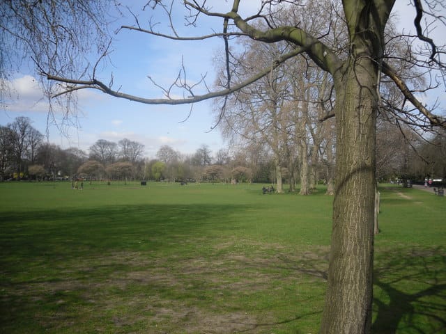 Ravenscourt Park — Ravenscourt Park - view north