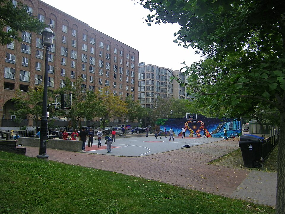 Ducketts Common — photo 1