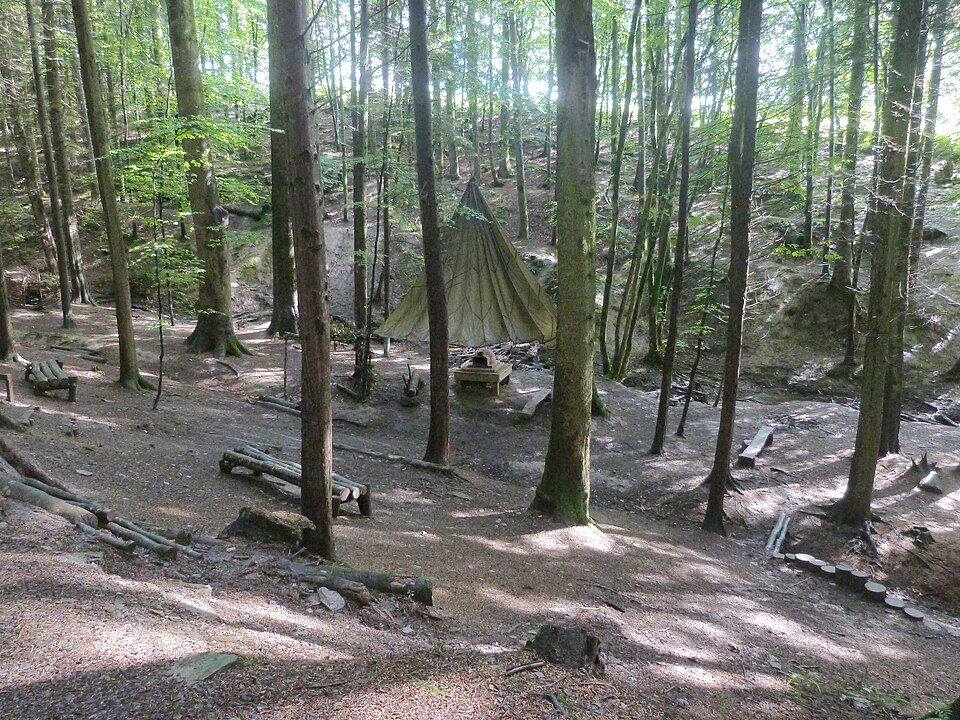 Highgate Wood — photo 1