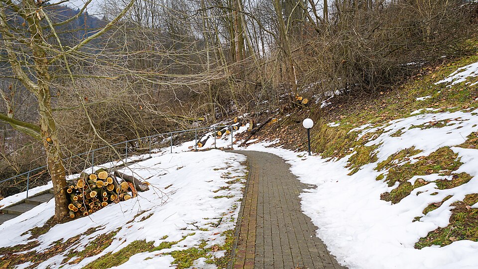 Nightingale Gardens — photo 2