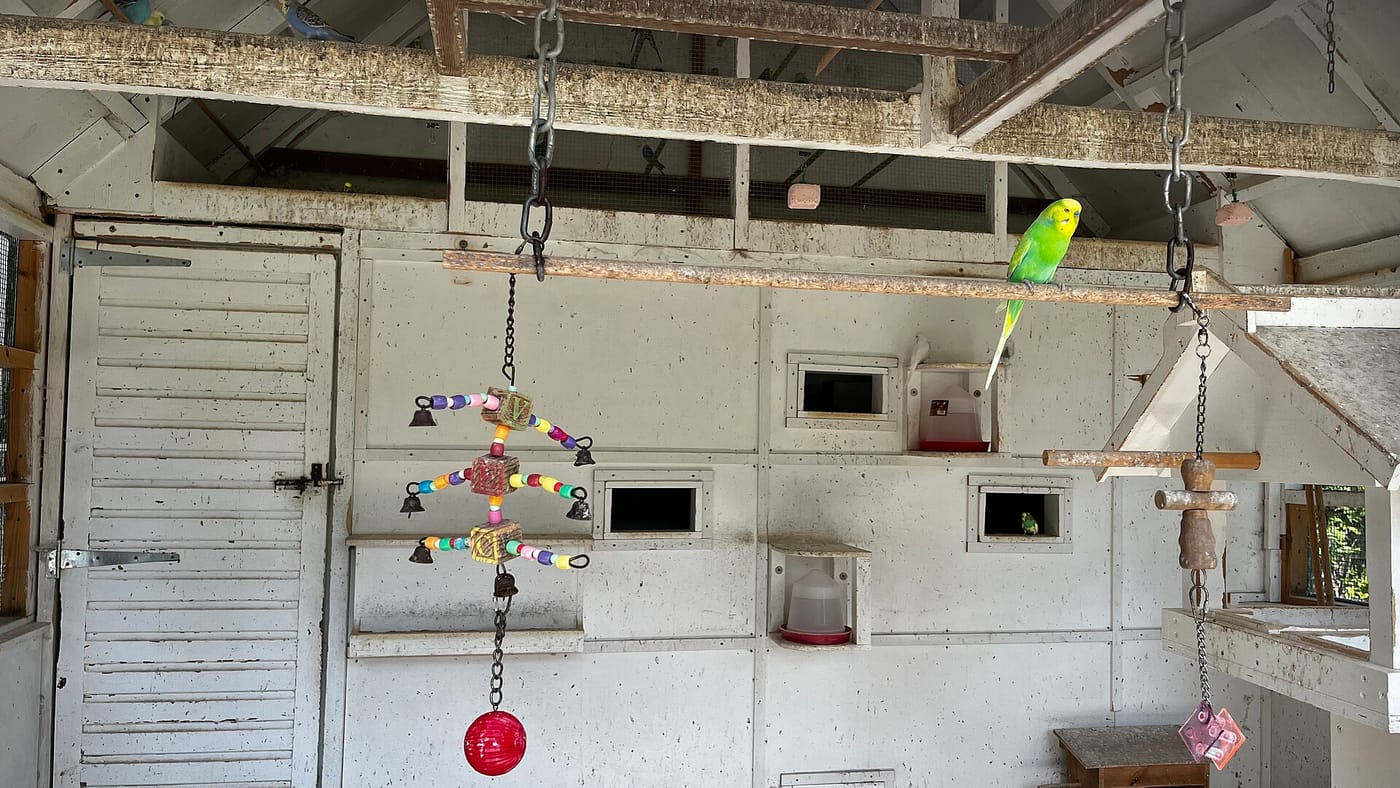 Pinner Memorial Park & Aviary — Aviary, Pinner Memorial Park