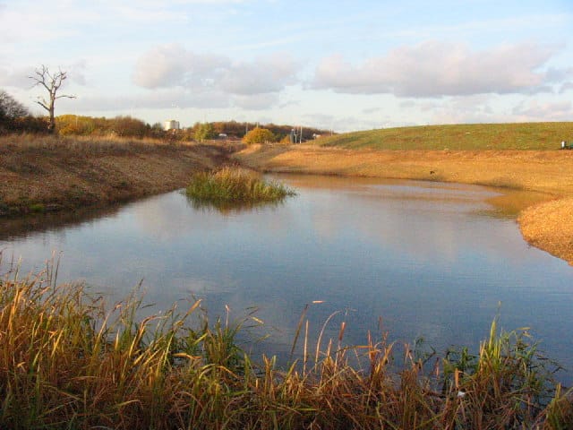 Minet Country Park — Pond, Minet Country Park