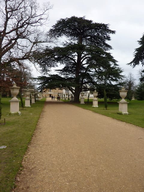 Chiswick House & Gardens — Chiswick House Gardens