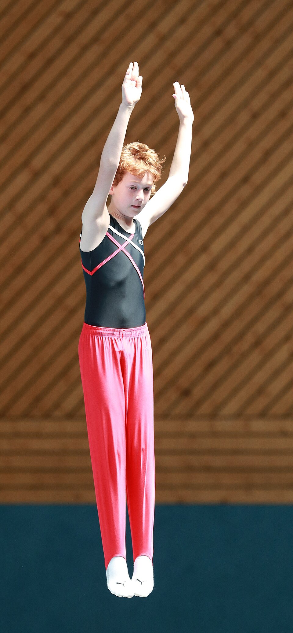 North London Gymnastics (NLG) — photo 2