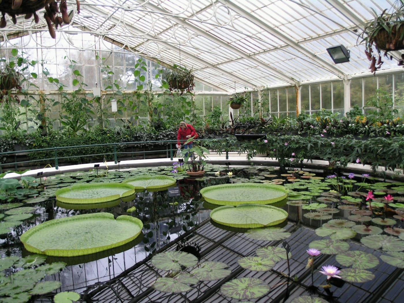 Science Museum - The Garden — Kew Gardens 0386