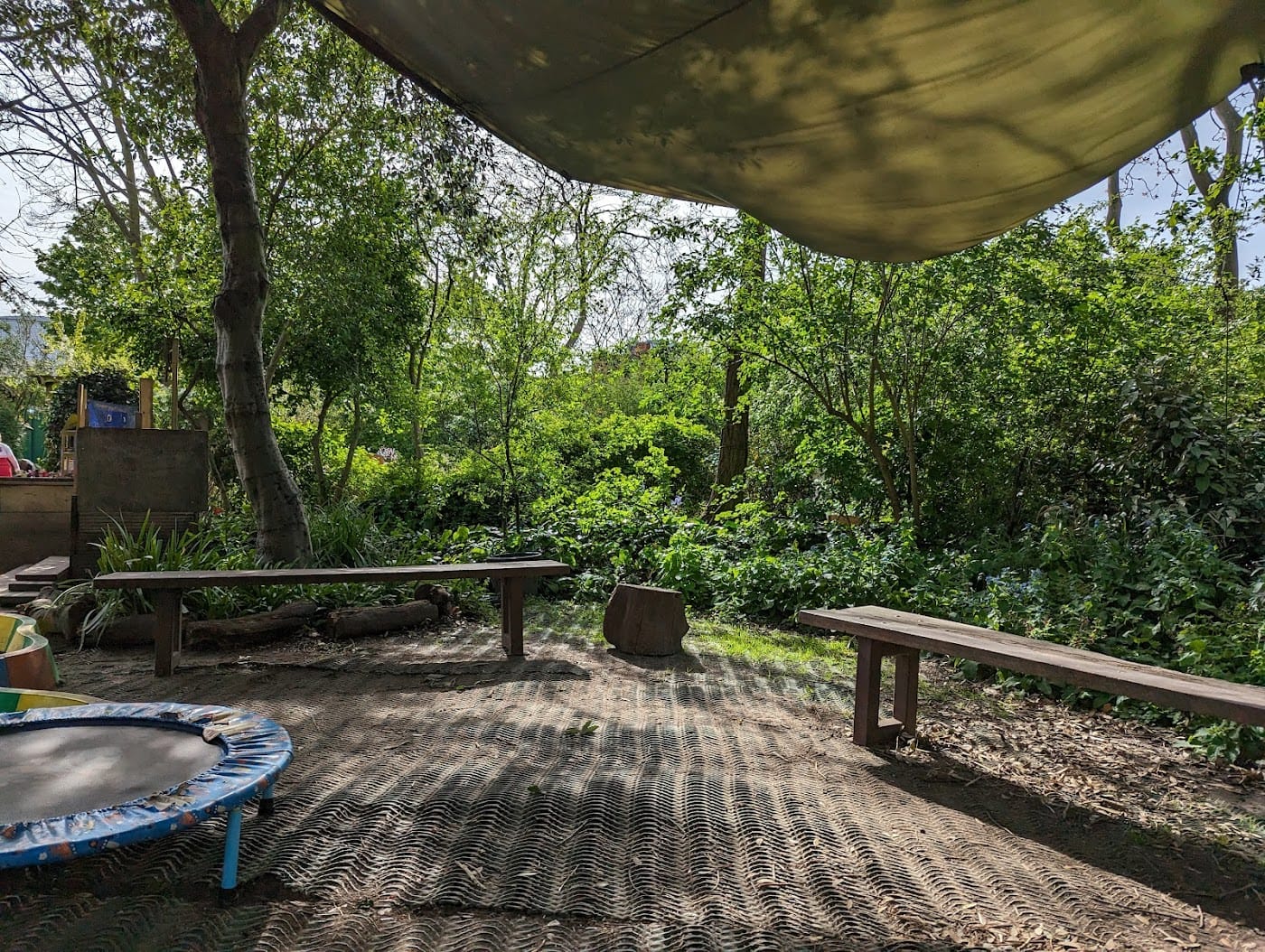 Oasis Nature Garden — Oasis Nature Garden