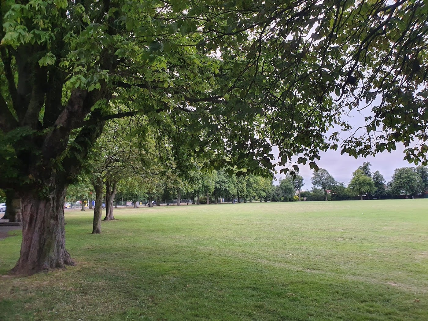Barkingside Recreation Ground — Queen Elizabeth II Field (Barkingside Recreation Ground)