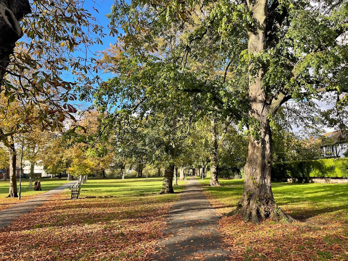 Barnes Green & Playground — Barnes Green