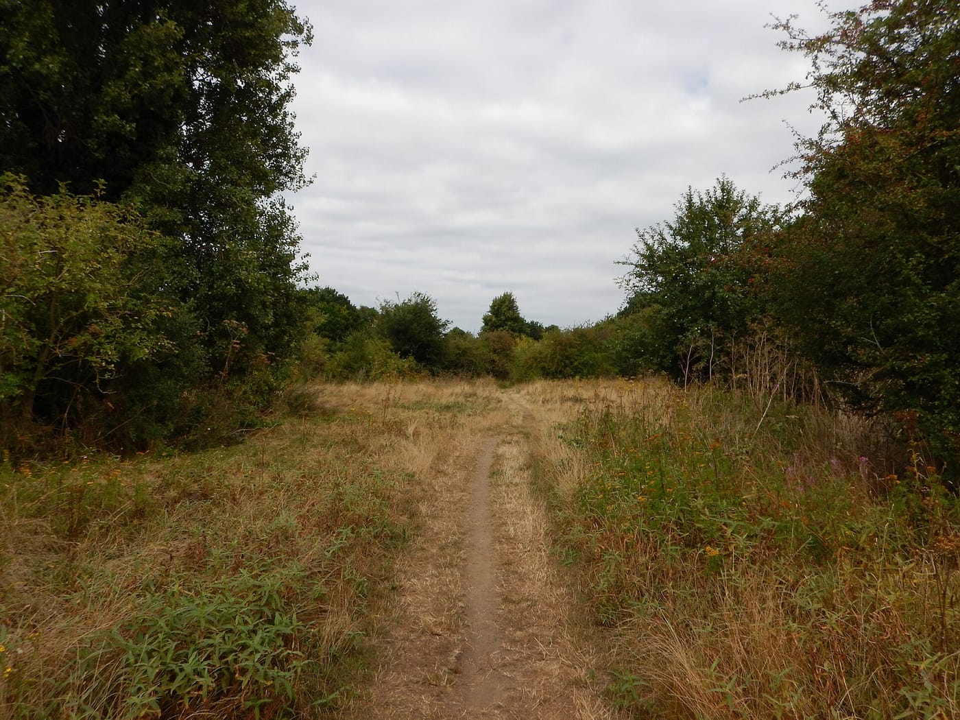 Ham Lands Nature Reserve — Ham Lands Nature Reserve