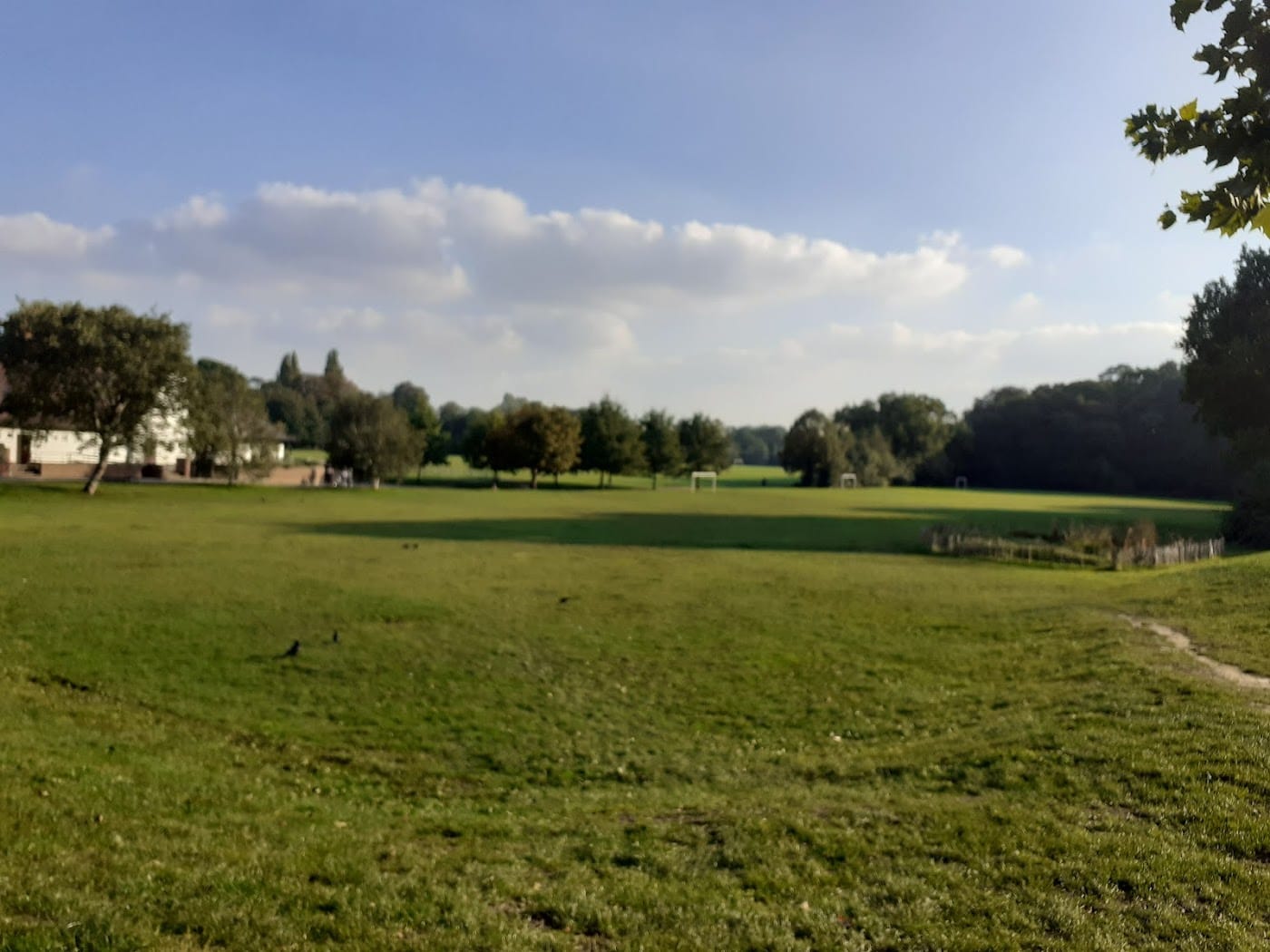 Palewell Common & Playground — Palewell Park
