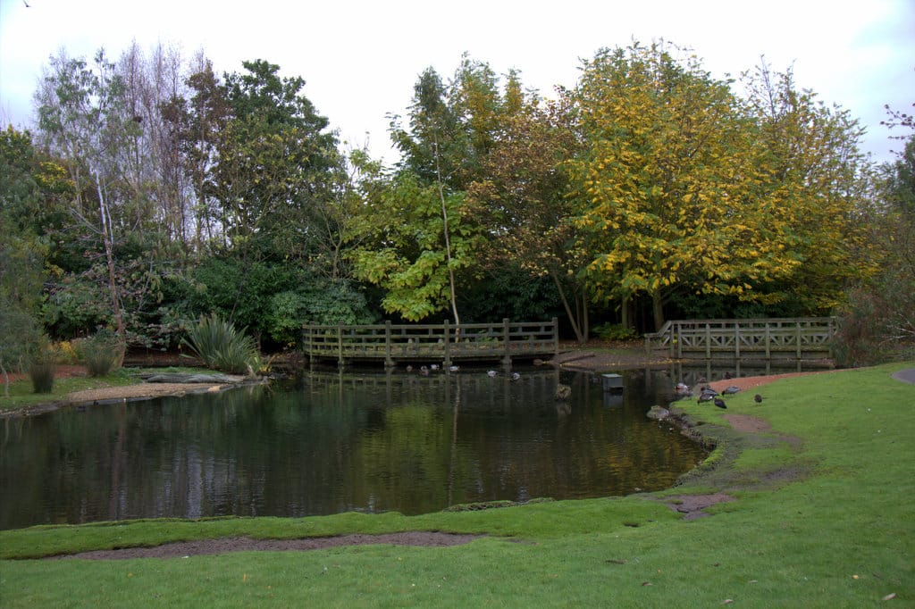 WWT London Wetland Centre — London Wetland Centre, Barnes, London