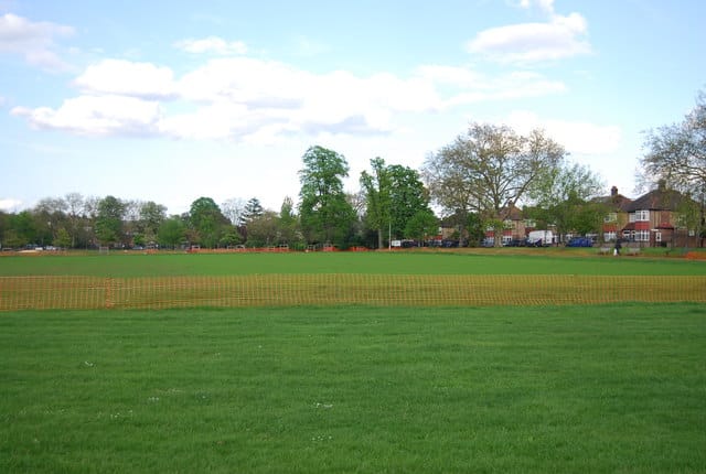 Peckham Rye Park & Common — Peckham Rye Common