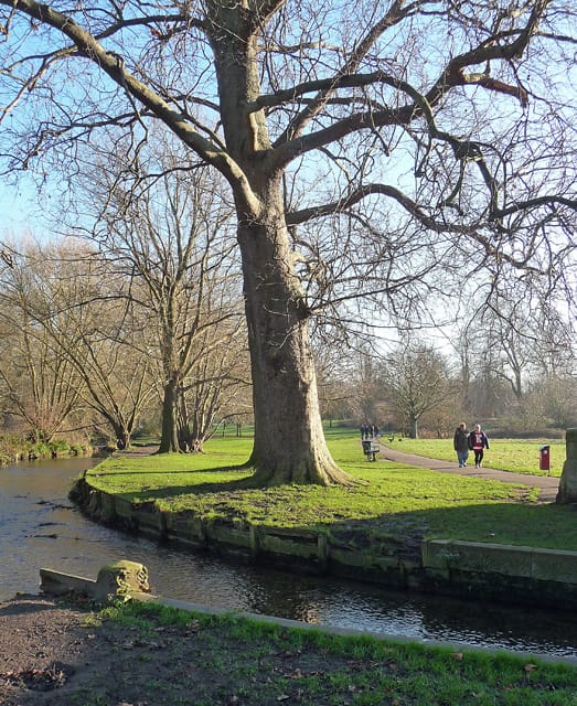 Beddington Park — Beddington Park (1) (geograph 4294247)