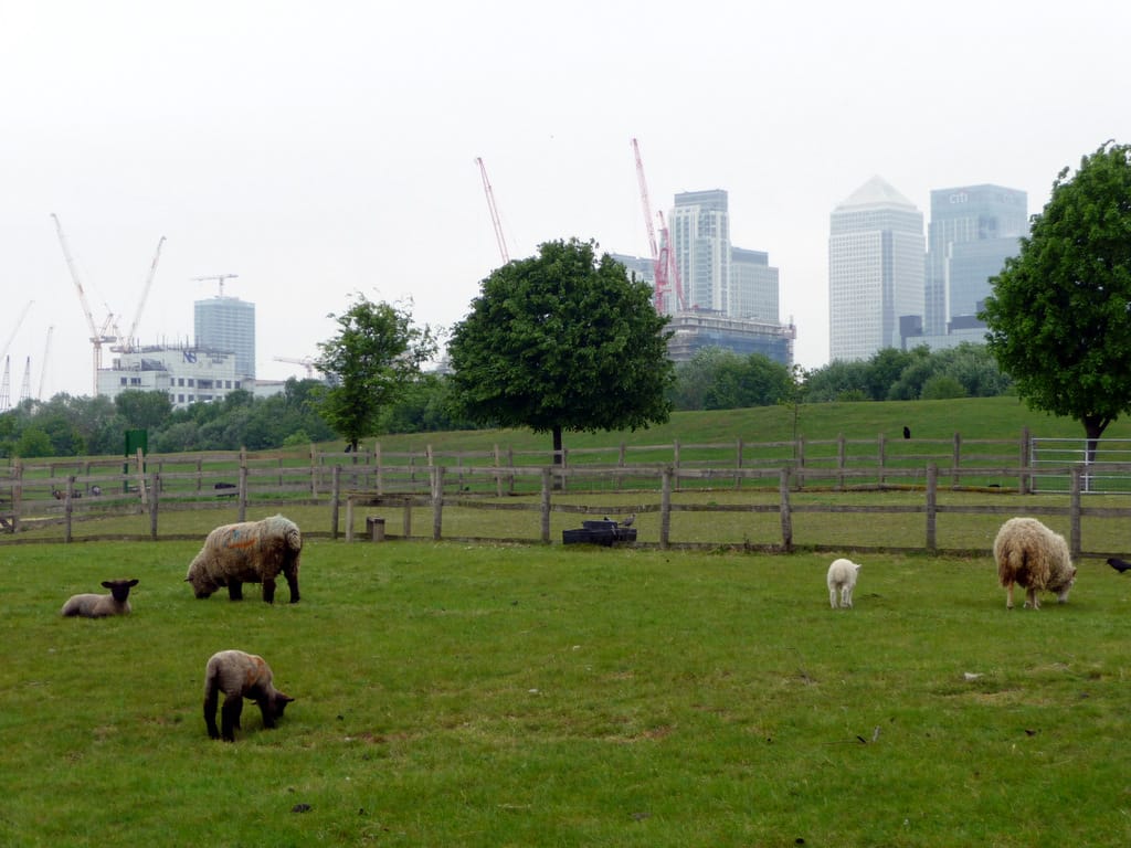 Mudchute Park & Farm — Mudchute Farm, Isle of Dogs