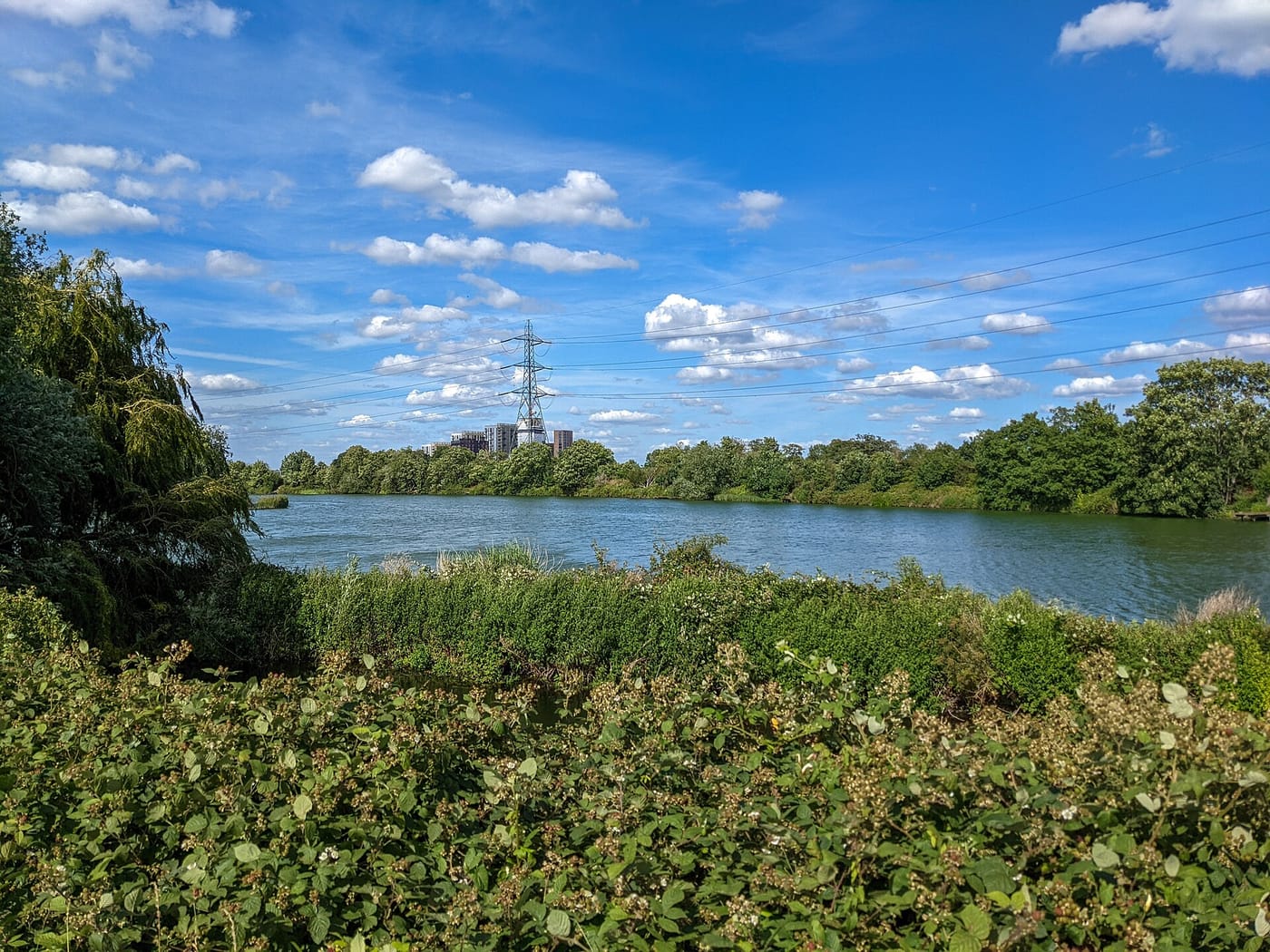Walthamstow Wetlands — Reservoir at Walthamstow Wetlands (1)