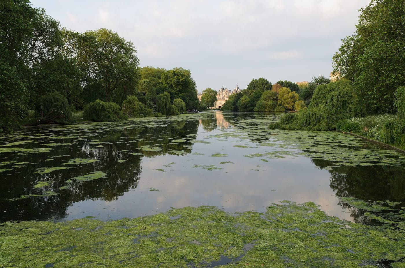 St James's Park — St James's Park London May 2016 001